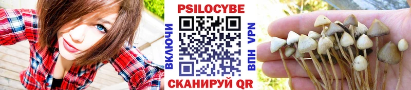 МЕГА ссылки  Тобольск  Псилоцибиновые грибы Psilocybe 
