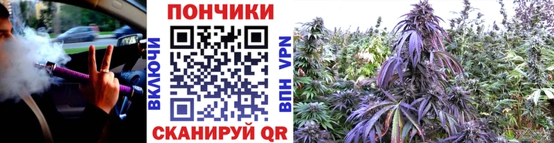 Бошки марихуана план  Тобольск 